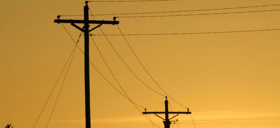 Silhouetted power lines with yellow sky