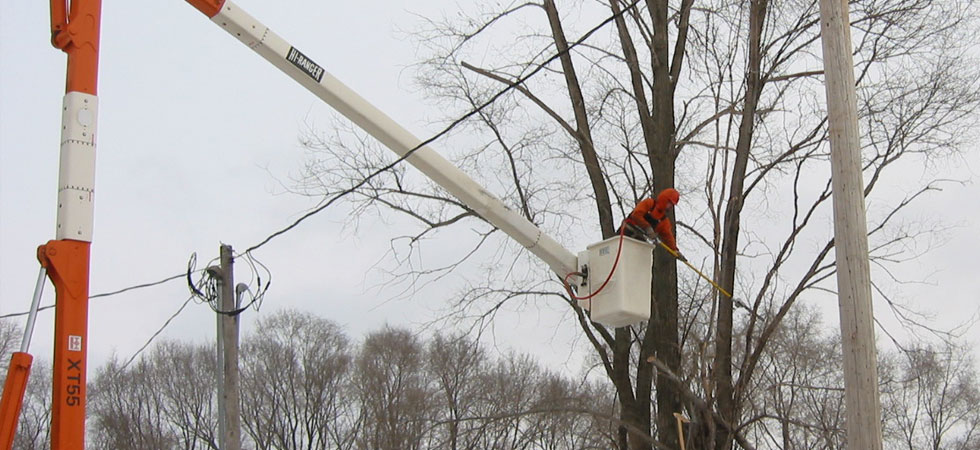 Worker in a bucket truck trimming trees over power line
