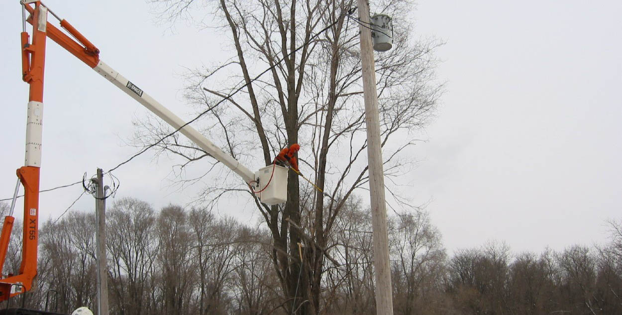 Tree Trimming Improves Service For All